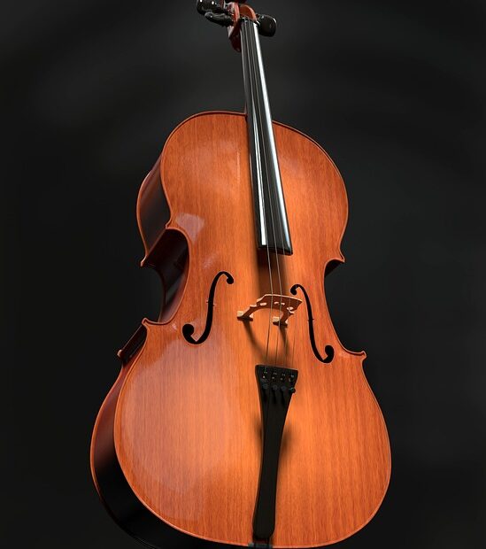 cello 2830670 960 720
